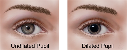 Retina Health Information - Patients - The American Society of