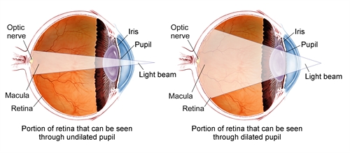 Retina Eye Test