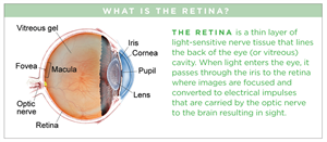 Retina Test, Fundus Checkup, Dilated test, Diabetes in retina