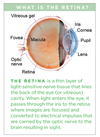 Visual Disturbances: Definition and Patient Education